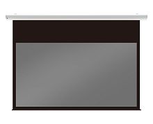 Экран Lumien Radiance Control 160x213