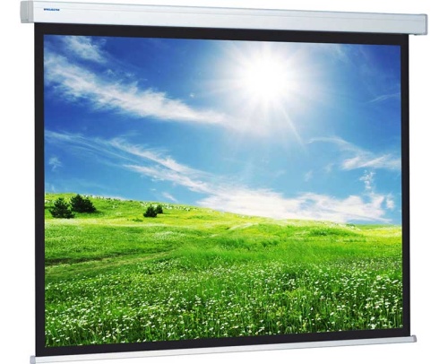 Экран Projecta ProScreen 220x220 Matte White