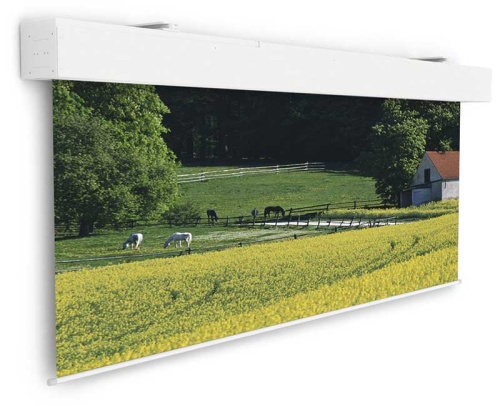 Экран Projecta Elpro Large Electrol 450x450 Matte White без каймы